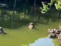 亀戸天神社(東京都)