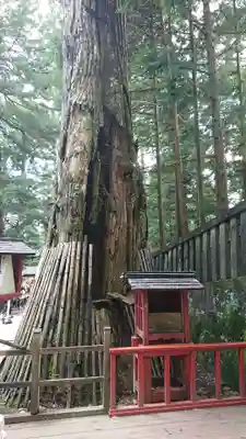 日光東照宮(栃木県)