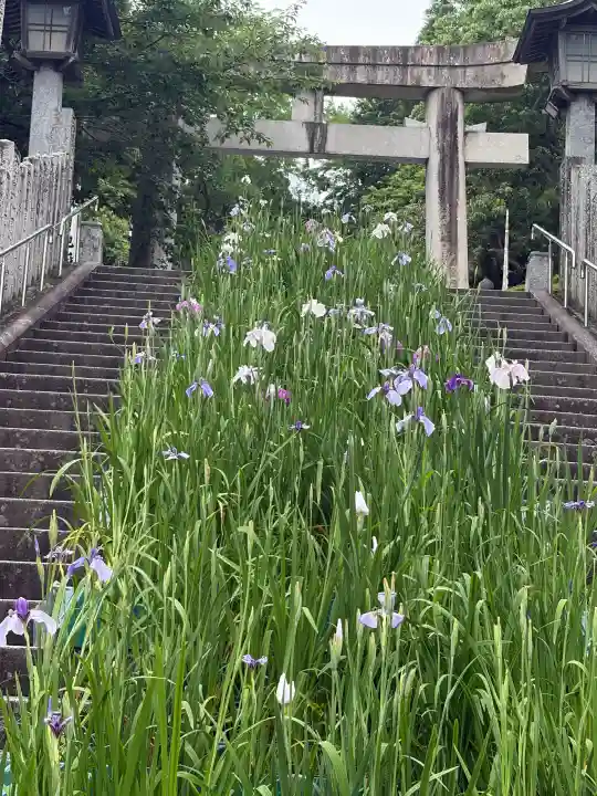 宮地嶽神社(福岡県)