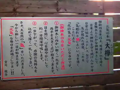 鎮守氷川神社の歴史