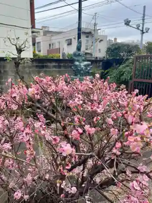 常泉寺の{uncategorized: "未分類", other: "その他", undefined: "問題あり", building: "その他建物", grave: "お墓", sacred_gate: "鳥居", guardian: "狛犬", statue: "像", buddha: "仏像", history: "歴史", nature: "自然", garden: "庭園", animal: "動物", pagoda: "塔", temizu: "手水舎", mountain_gate: "山門・神門", sanctuary: "本殿・本堂", subordinate: "末社・摂社", art: "芸術", scenery: "景色", jizo: "地蔵", ema: "絵馬", goshuin: "御朱印", omikuji: "おみくじ", items: "授与品その他", amulet: "お守り", goshuincho: "御朱印帳", eats: "食事", festival: "お祭り", votive_dance: "神楽", shichigosan: "七五三参", wedding: "結婚式", experience: "体験その他", initially: "初詣", around: "周辺", anti_infection: "感染症対策"}