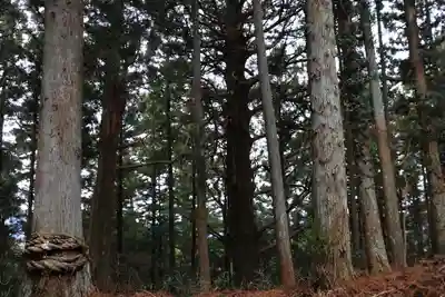 飯豊神社の自然
