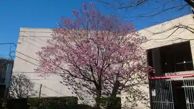 寛永寺(根本中堂)(東京都)