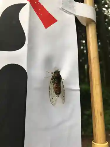 大宮温泉神社の自然
