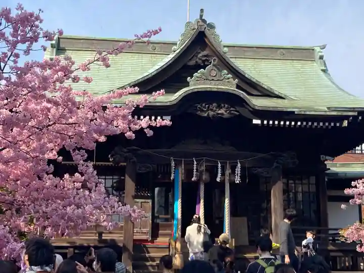 桜神宮の本殿・本堂