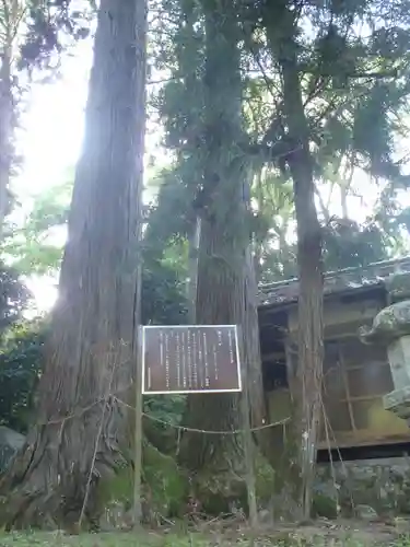磐照神社(愛知県)