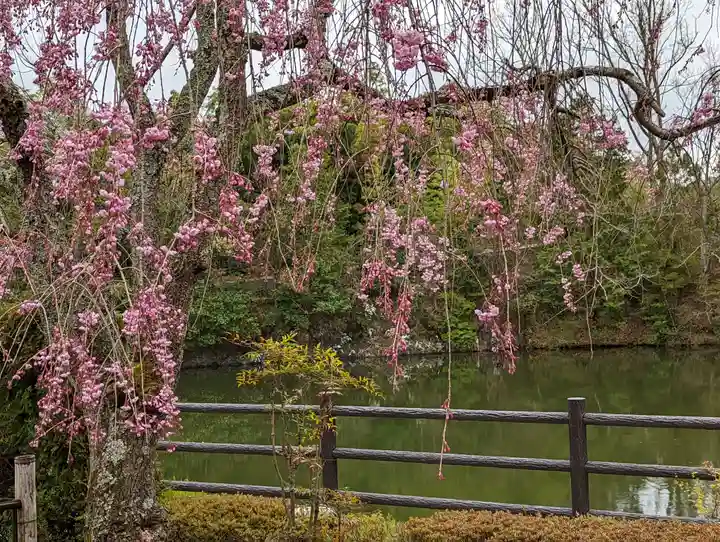 正法寺(京都府)
