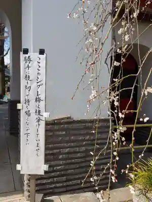 成願寺(東京都)