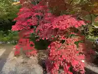 大国寺(兵庫県)