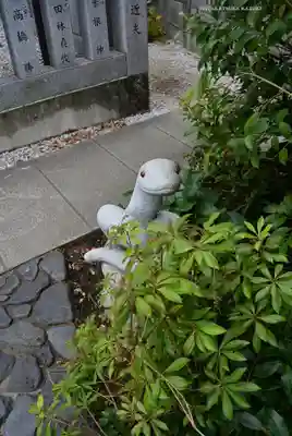 蛇窪神社(東京都)