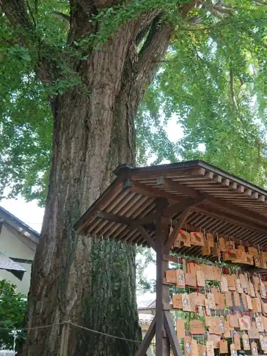 大宝八幡宮の自然