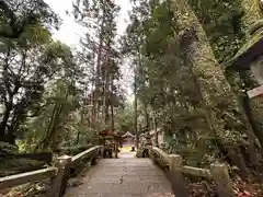 戸隠神社(奈良県)