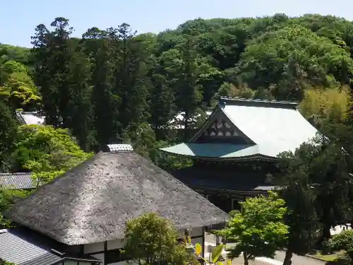 松嶺院の景色