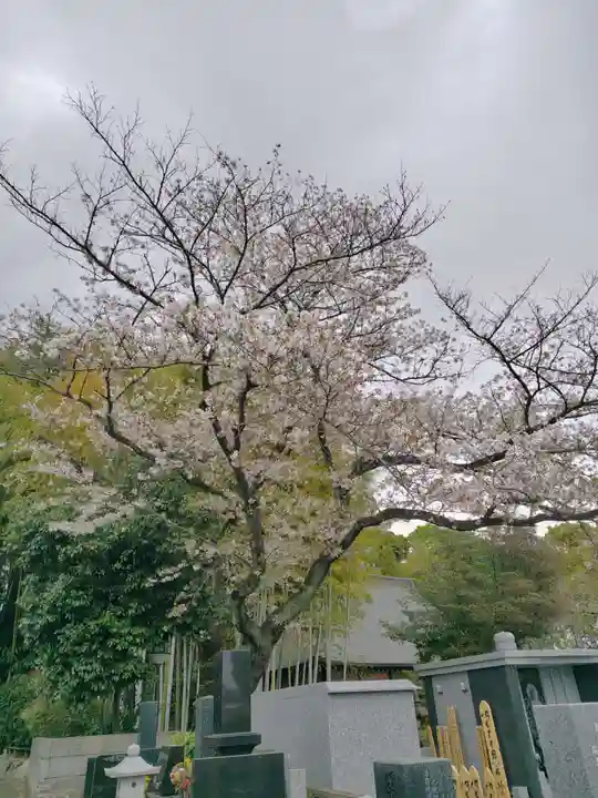 命徳寺(神奈川県)