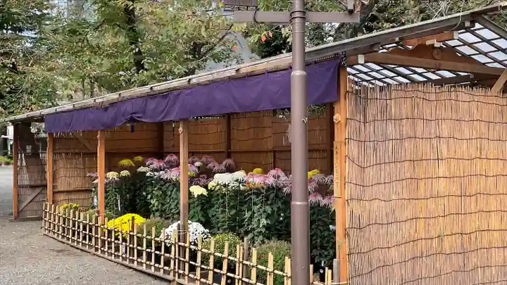靖國神社(東京都)