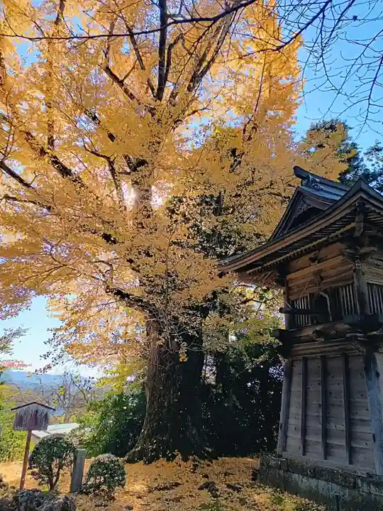 松尾寺(京都府)