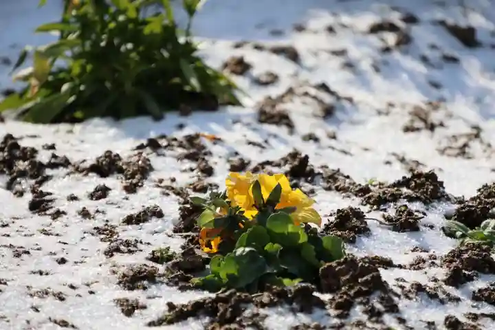 大鏑神社の庭園