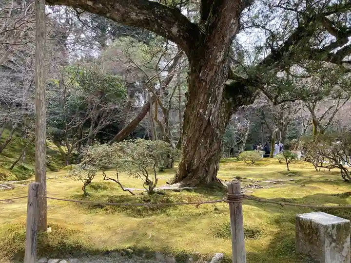 慈照寺(慈照禅寺・銀閣寺)(京都府)
