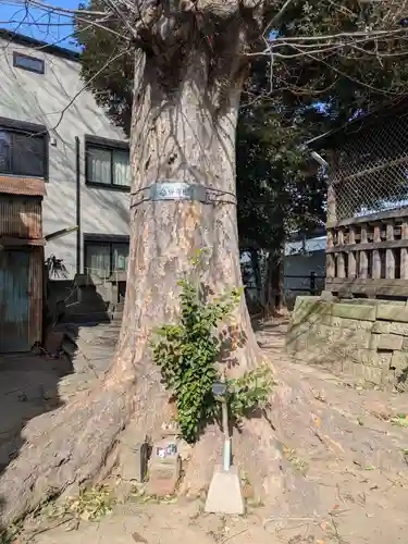 中川氷川神社(東京都)