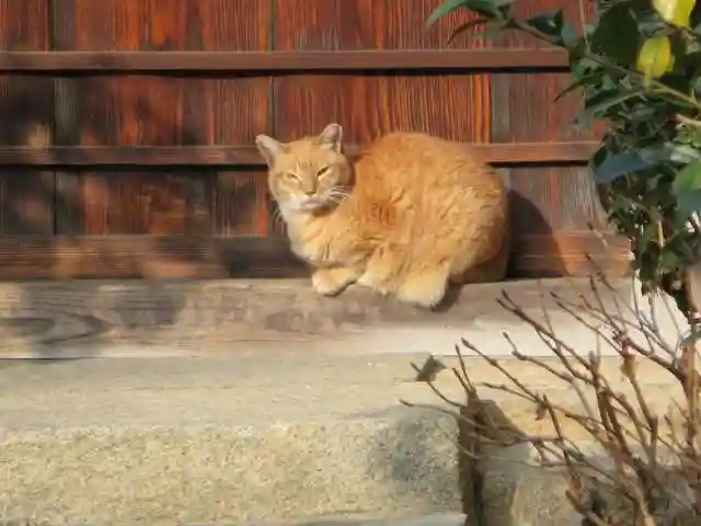 大幸寺(京都府)