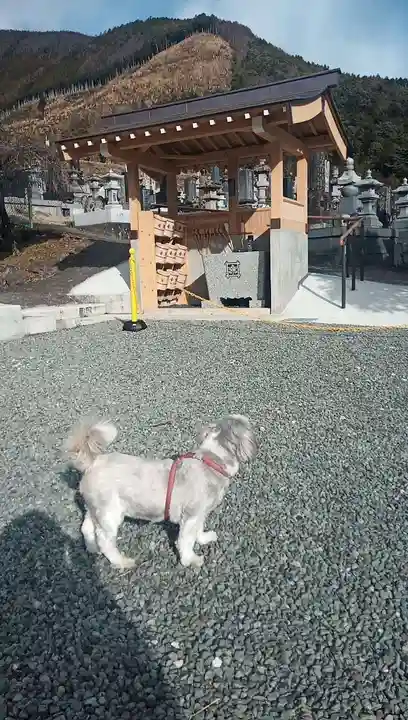 徳林寺(山梨県)