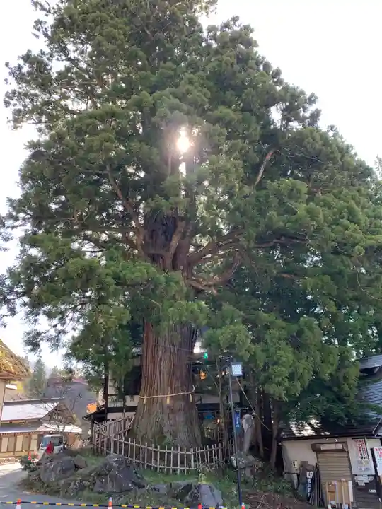 戸隠神社中社の周辺