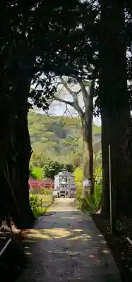 浄瑠璃寺の{uncategorized: "未分類", other: "その他", undefined: "問題あり", building: "その他建物", grave: "お墓", sacred_gate: "鳥居", guardian: "狛犬", statue: "像", buddha: "仏像", history: "歴史", nature: "自然", garden: "庭園", animal: "動物", pagoda: "塔", temizu: "手水舎", mountain_gate: "山門・神門", sanctuary: "本殿・本堂", subordinate: "末社・摂社", art: "芸術", scenery: "景色", jizo: "地蔵", ema: "絵馬", goshuin: "御朱印", omikuji: "おみくじ", items: "授与品その他", amulet: "お守り", goshuincho: "御朱印帳", eats: "食事", festival: "お祭り", votive_dance: "神楽", shichigosan: "七五三参", wedding: "結婚式", experience: "体験その他", initially: "初詣", around: "周辺", anti_infection: "感染症対策"}
