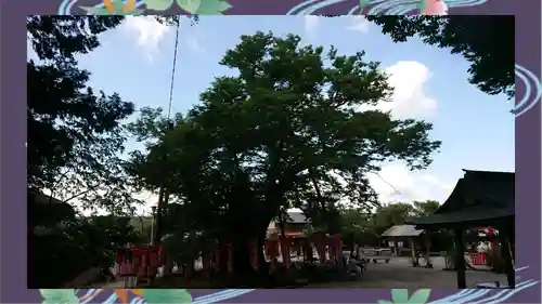 秩父今宮神社(埼玉県)