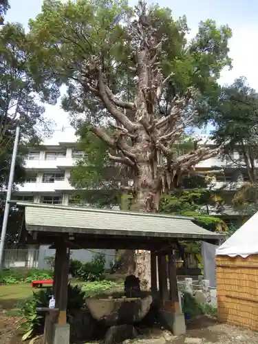 前原御嶽神社(千葉県)