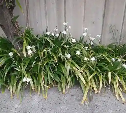 西方山極楽寺(岐阜県)