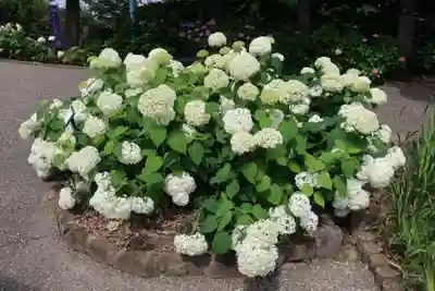 性海寺(愛知県)