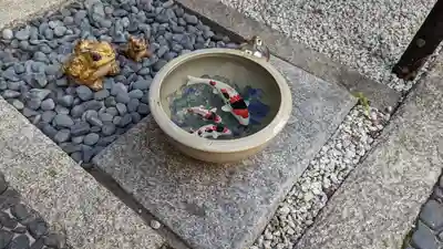 荘厳寺(京都府)