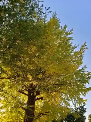 宝福寺(東京都)