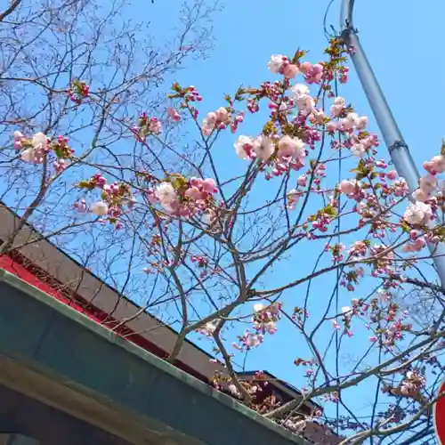 彌彦神社　(伊夜日子神社)の自然
