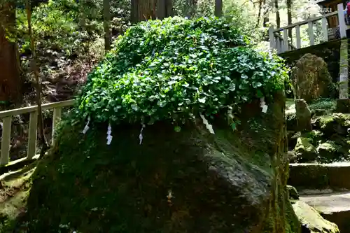 賀毗禮神宮(茨城県)