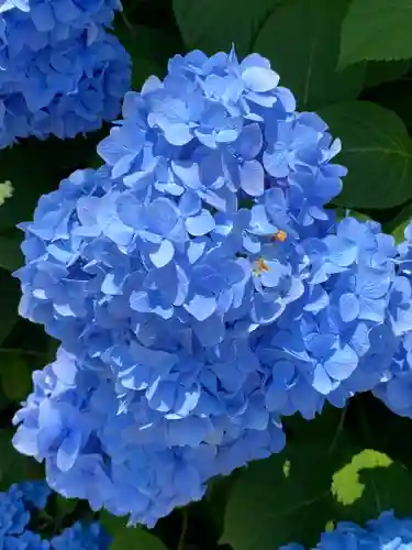 高田天満宮の自然