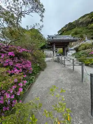 安養院　(田代寺）(神奈川県)