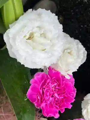 上尾御嶽神社の手水舎