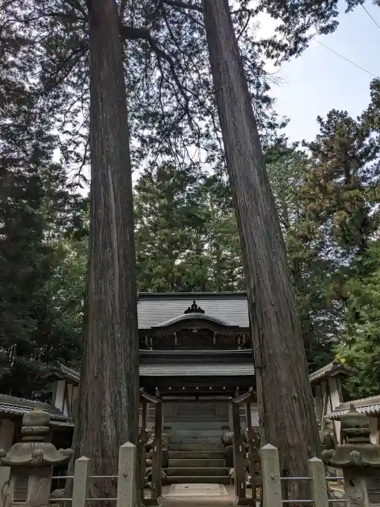 野々宮神社の{uncategorized: "未分類", other: "その他", undefined: "問題あり", building: "その他建物", grave: "お墓", sacred_gate: "鳥居", guardian: "狛犬", statue: "像", buddha: "仏像", history: "歴史", nature: "自然", garden: "庭園", animal: "動物", pagoda: "塔", temizu: "手水舎", mountain_gate: "山門・神門", sanctuary: "本殿・本堂", subordinate: "末社・摂社", art: "芸術", scenery: "景色", jizo: "地蔵", ema: "絵馬", goshuin: "御朱印", omikuji: "おみくじ", items: "授与品その他", amulet: "お守り", goshuincho: "御朱印帳", eats: "食事", festival: "お祭り", votive_dance: "神楽", shichigosan: "七五三参", wedding: "結婚式", experience: "体験その他", initially: "初詣", around: "周辺", anti_infection: "感染症対策"}