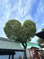 南宮宇佐八幡神社(脇浜神社)(兵庫県)