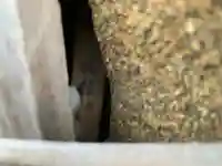 道祖神社のその他建物