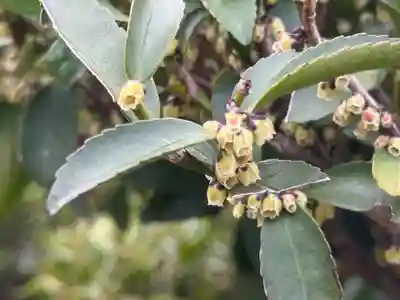 西方山極楽寺(岐阜県)
