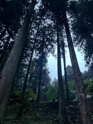 大宮温泉神社(栃木県)