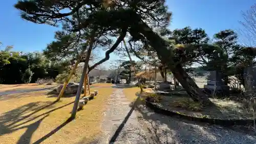 宗悟寺のその他建物