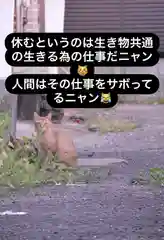 専念寺の動物