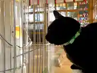 高司神社〜むすびの神の鎮まる社〜(福島県)