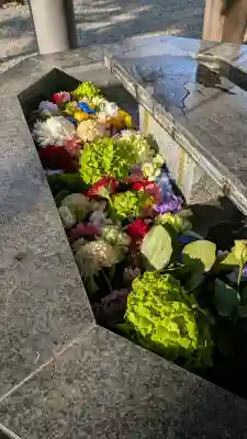 新琴似神社の{uncategorized: "未分類", other: "その他", undefined: "問題あり", building: "その他建物", grave: "お墓", sacred_gate: "鳥居", guardian: "狛犬", statue: "像", buddha: "仏像", history: "歴史", nature: "自然", garden: "庭園", animal: "動物", pagoda: "塔", temizu: "手水舎", mountain_gate: "山門・神門", sanctuary: "本殿・本堂", subordinate: "末社・摂社", art: "芸術", scenery: "景色", jizo: "地蔵", ema: "絵馬", goshuin: "御朱印", omikuji: "おみくじ", items: "授与品その他", amulet: "お守り", goshuincho: "御朱印帳", eats: "食事", festival: "お祭り", votive_dance: "神楽", shichigosan: "七五三参", wedding: "結婚式", experience: "体験その他", initially: "初詣", around: "周辺", anti_infection: "感染症対策"}