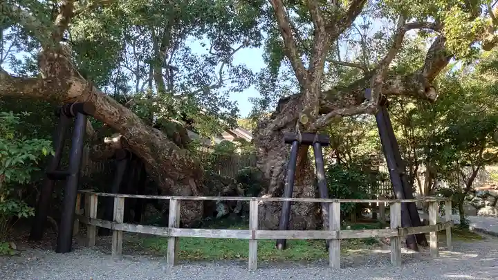 伊勢神宮外宮(豊受大神宮)の庭園