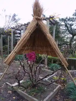 石光寺の御朱印