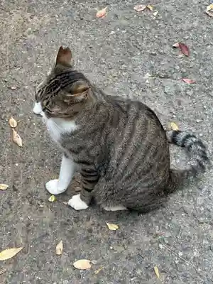 王子神社(徳島県)